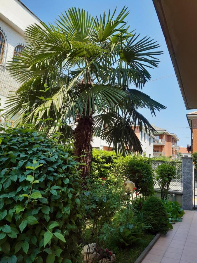 Apartment Sophia Collegno