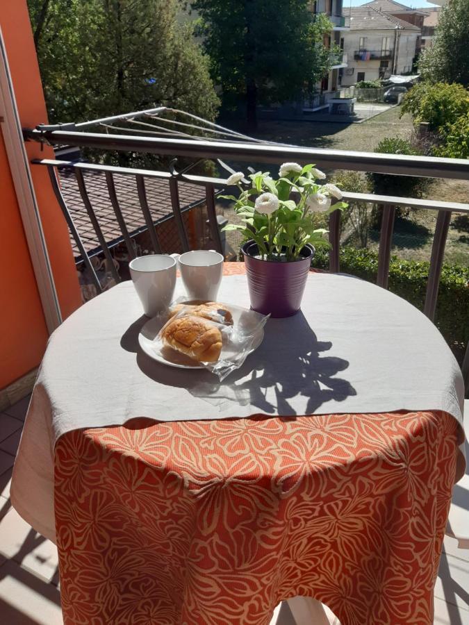 Sophia Apartment